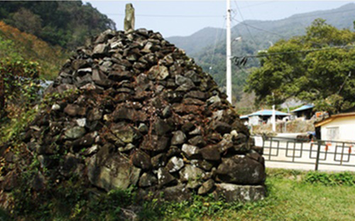 û��������ž