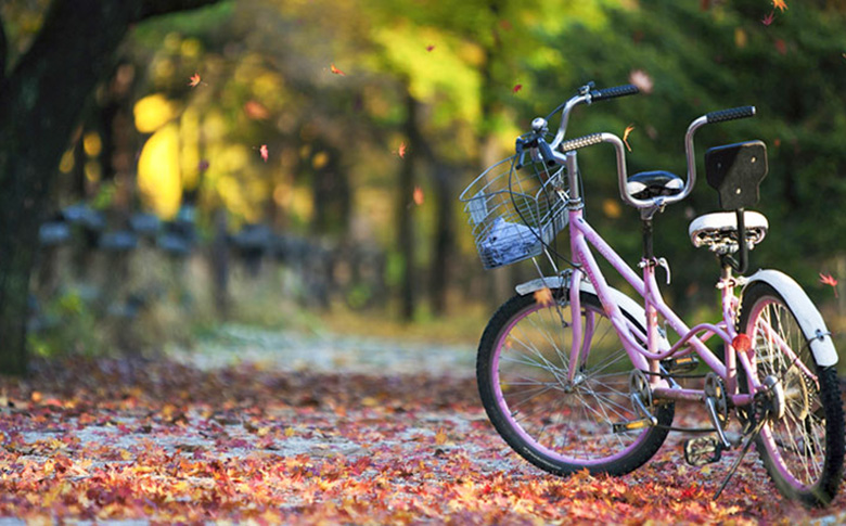 ��õ��������ű�